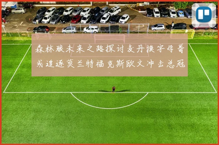 森林狼未来之路探讨麦丹换字母哥或追逐莫兰特福克斯欧文冲击总冠军