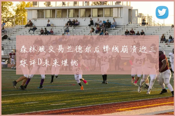森林狼交易兰德尔后锋线崩溃迎三球评D未来堪忧